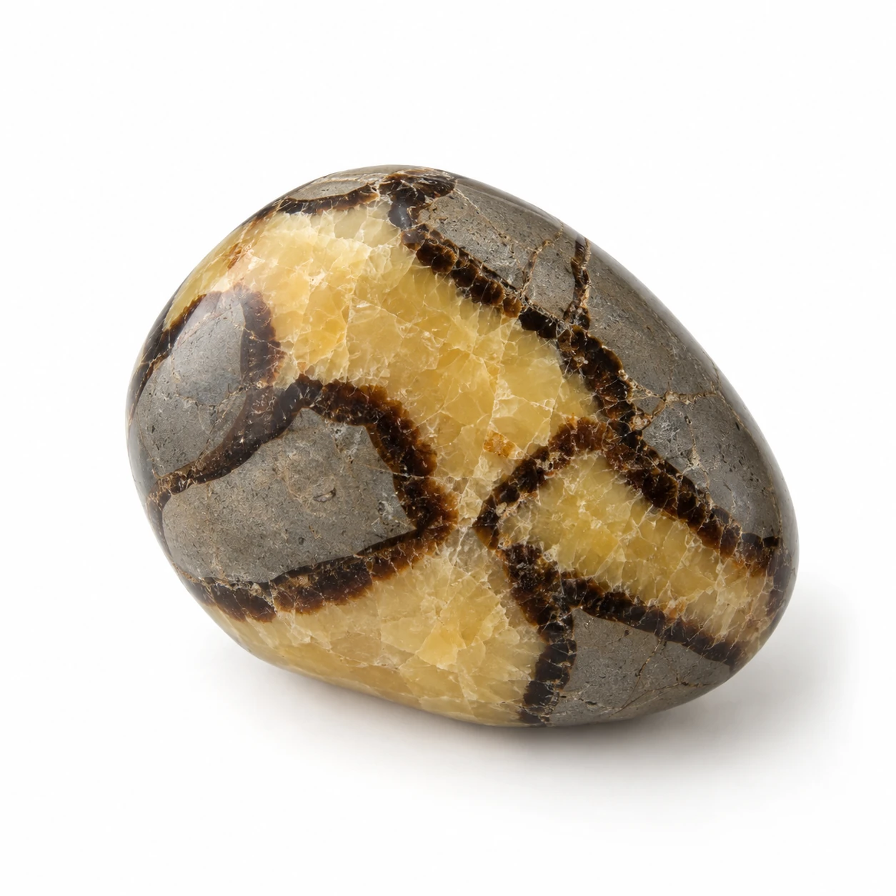Geel, bruin, grijs met karakteristieke scheurpatronen Septarie (Dragonstone) edelsteen op een rustige neutrale achtergrond