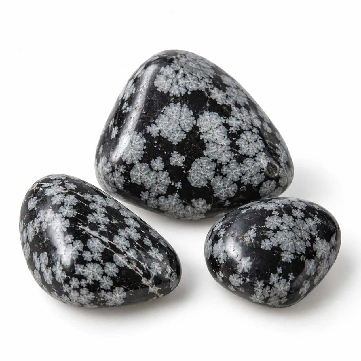Verschillende exemplaren van Snowflake Obsidiaan op een witte achtergrond