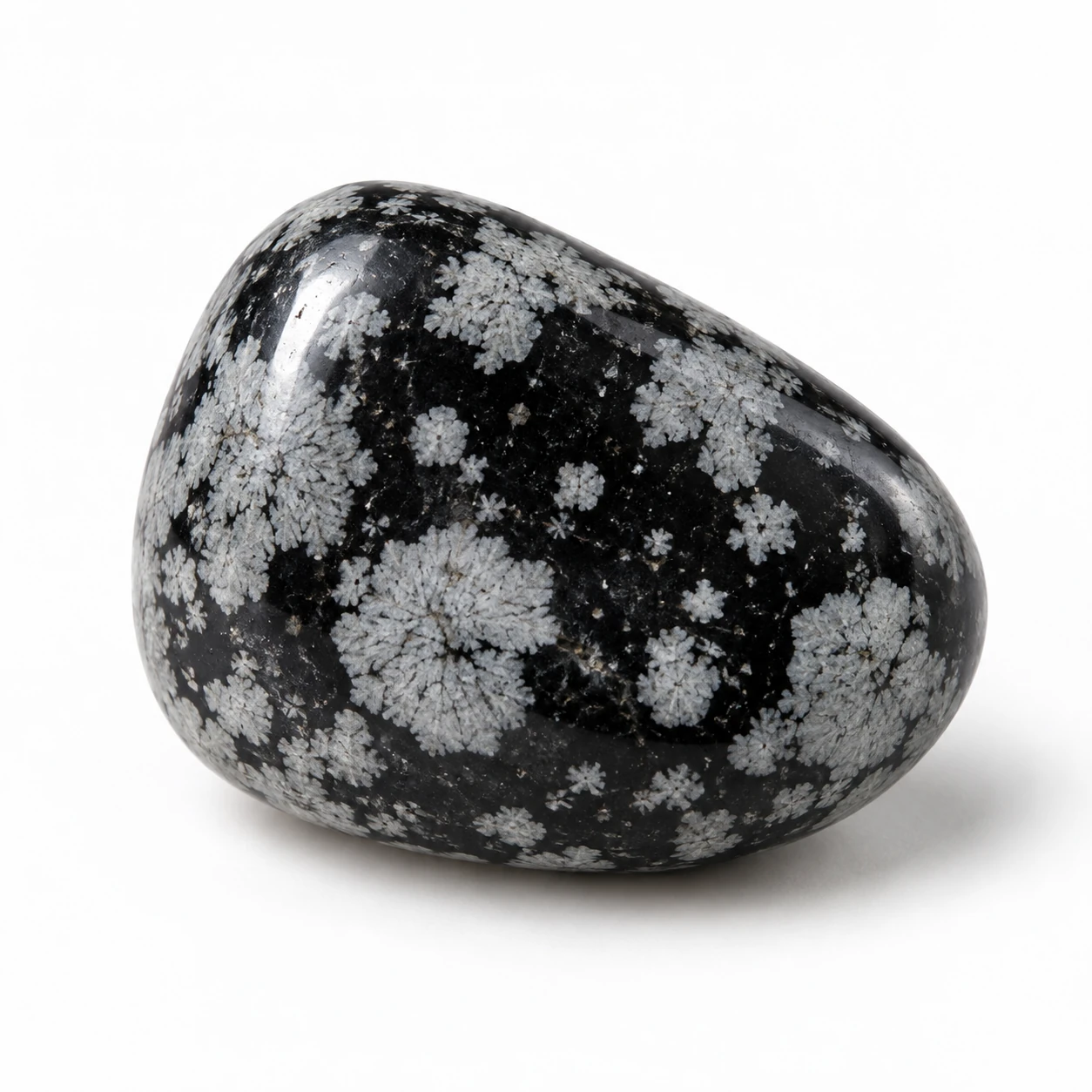 Zwart met grijswitte sneeuwvlokpatronen Snowflake Obsidiaan edelsteen op een rustige neutrale achtergrond